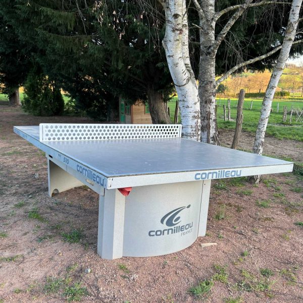 table-ping-pong-grand-gite-lac-des-sapins table-ping-pong-grand-gite-lac-des-sapins