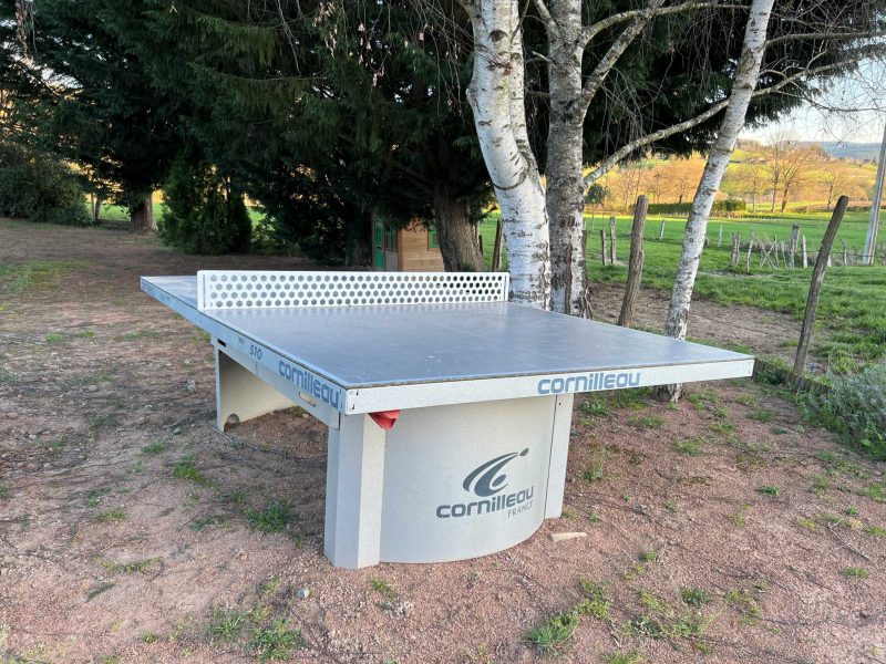 table-ping-pong-grand-gite-lac-des-sapins